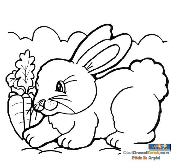 hase023