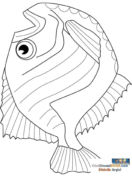 hatchet-fish