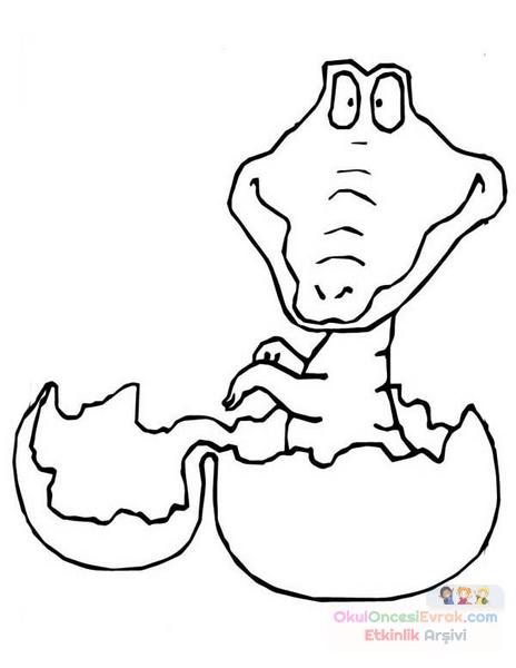 hatching-alligator-egg-coloring-page-Kopyala