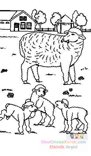 hayvanlar ve yavruları (6)