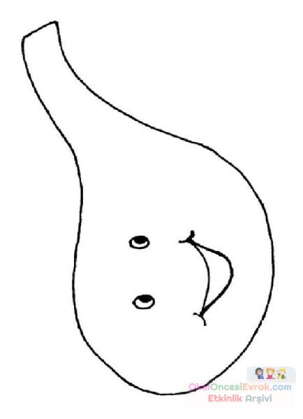 iç organlar (11)