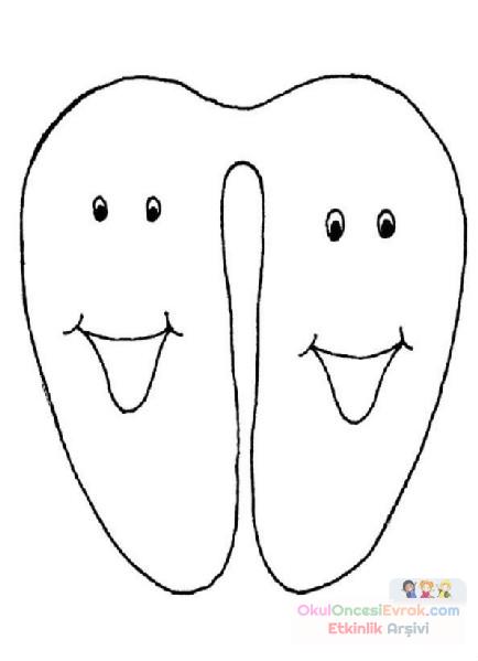 iç organlar (12)