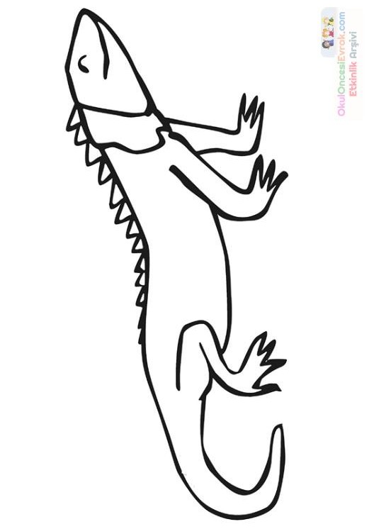 iguana_boyama