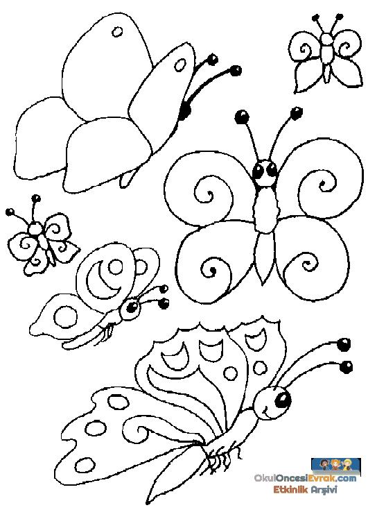 insekt004