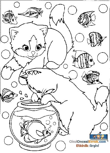 katze001