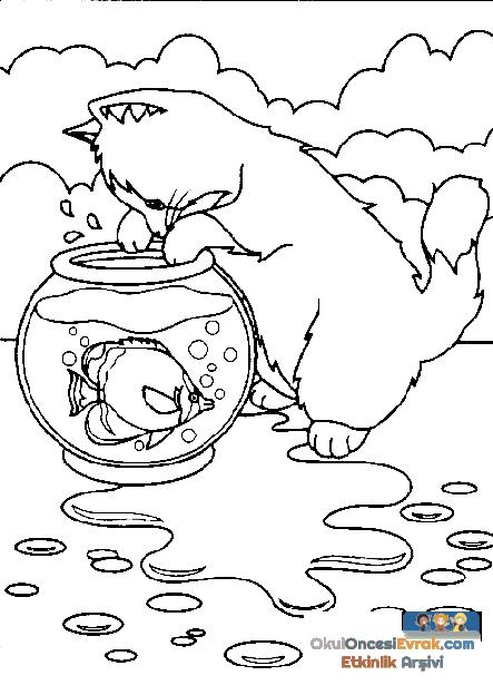 katze003