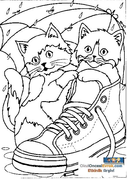 katze004