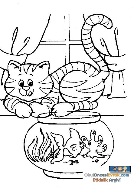 katze006