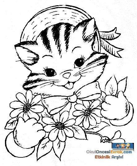 katze007