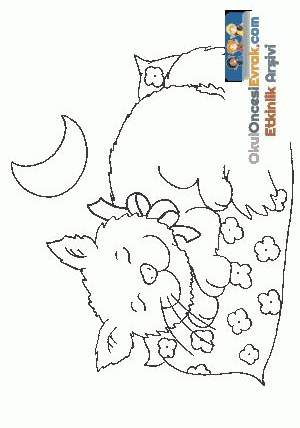 katze013