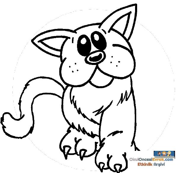 kedi