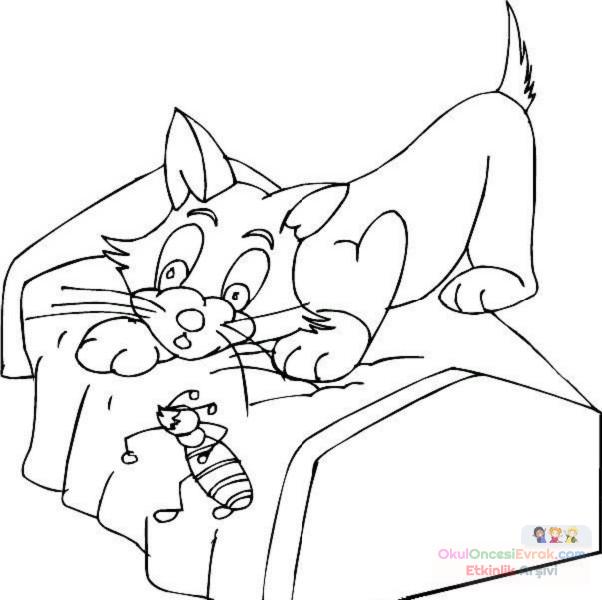 Kedi Hayvanlar Boyama (48)
