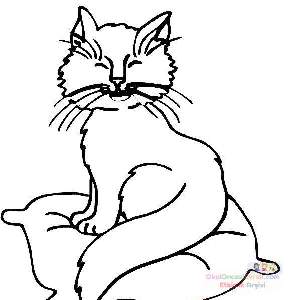 Kedi Hayvanlar Boyama (49)