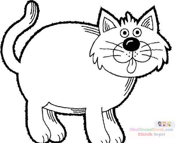 Kedi Hayvanlar Boyama (50)