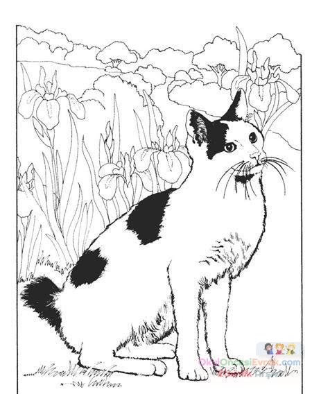 Kedi Hayvanlar Boyama (77)