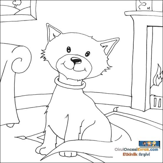 kedi