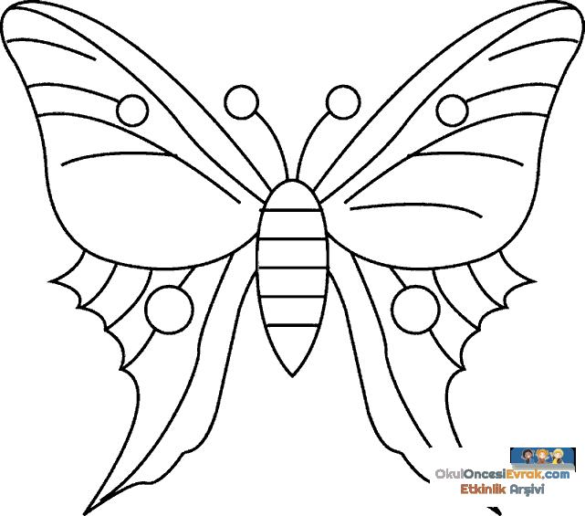 Kelebek- butterfly  (2)