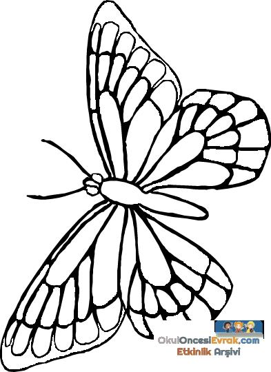Kelebek- butterfly  (4)