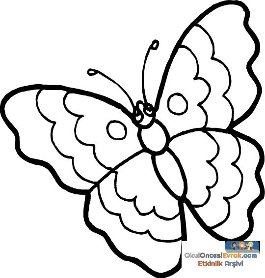 Kelebek- butterfly  (6)