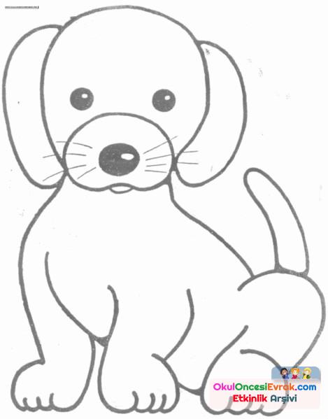 Köpek Boyama 