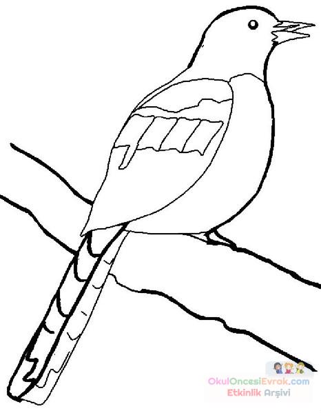 Kuş Hayvanlar Boyama (79)