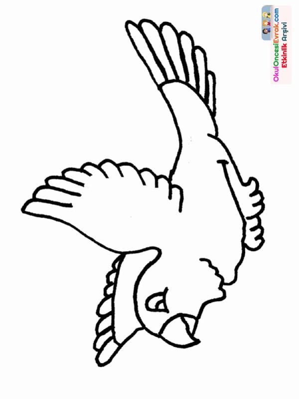 Kuş