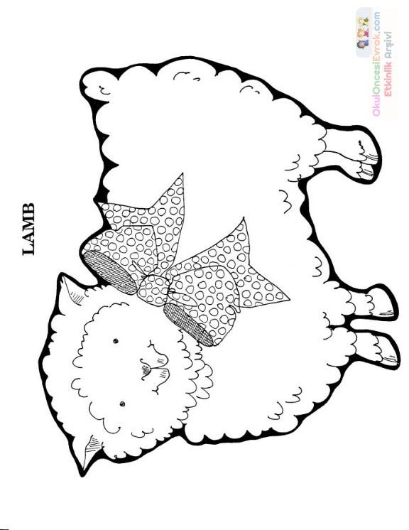 Lamb