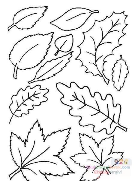 mevsimler (208)