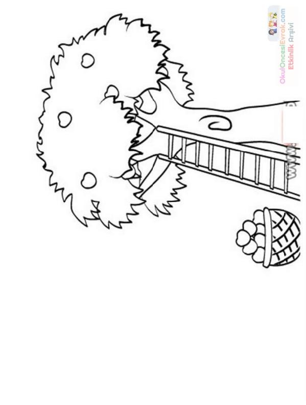 mevsimler (55)