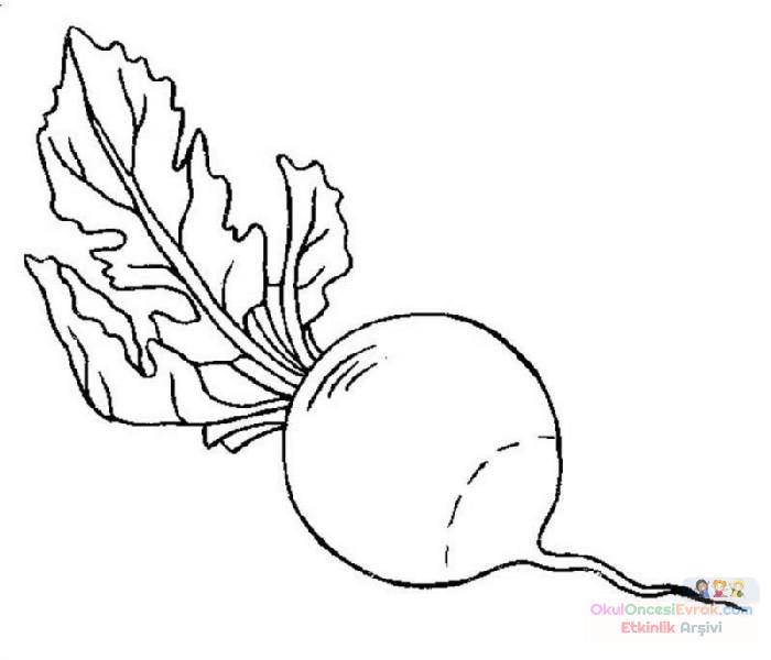 meyve sebze turp