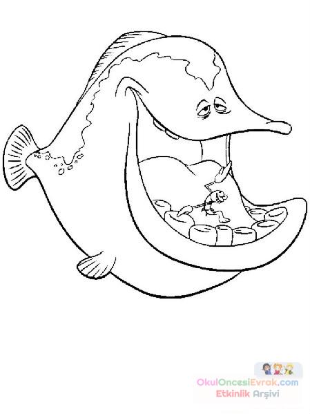 Nemo Boyama (10)