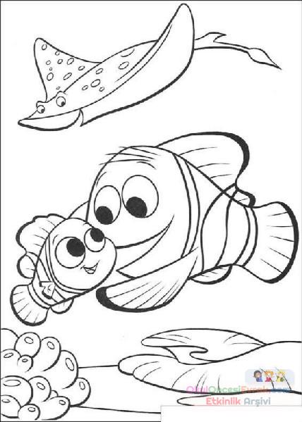 Nemo Boyama (11)