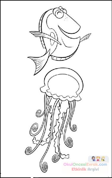 Nemo Boyama (3)