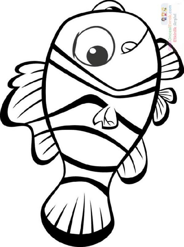 Nemo Boyama (7)