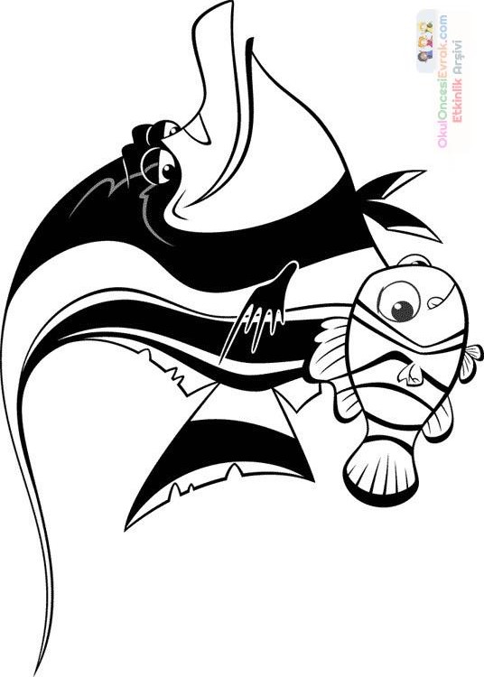 Nemo Boyama (8)