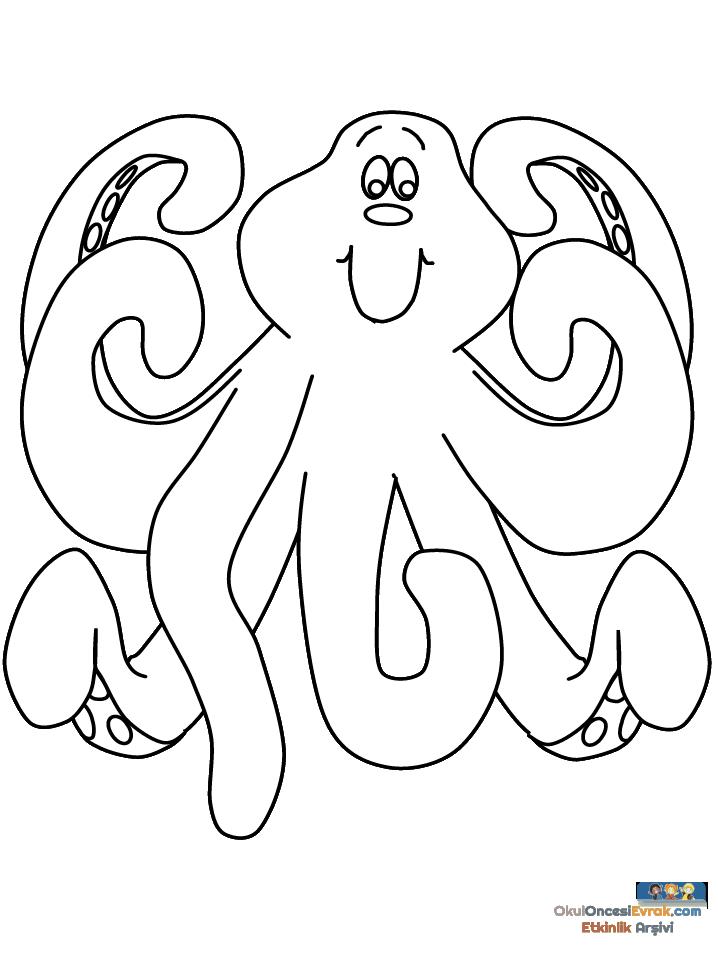 octopus