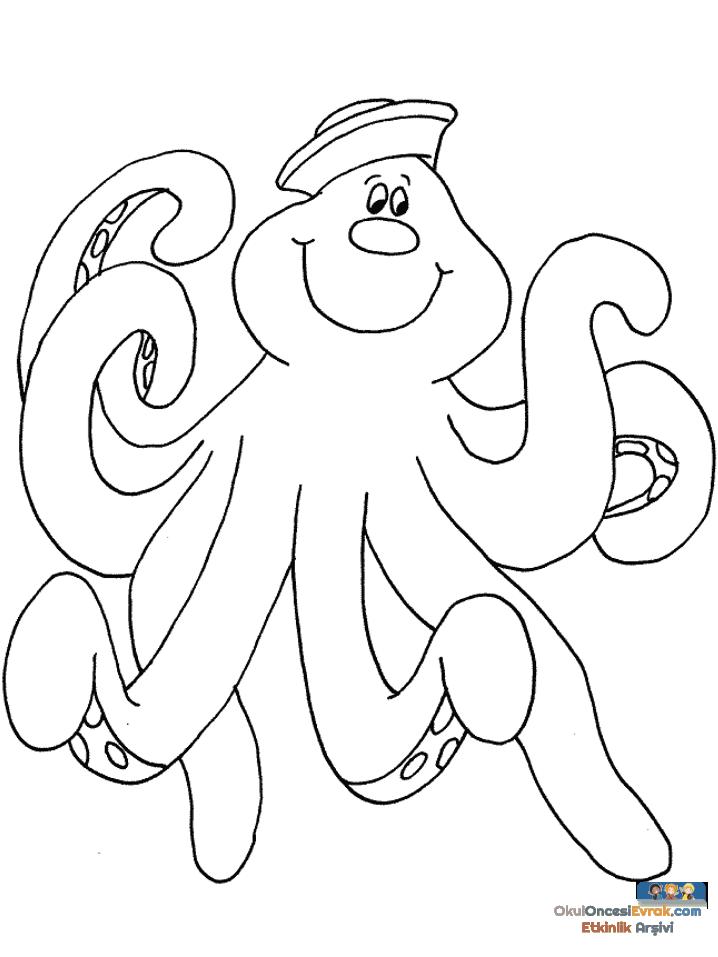 octopus3