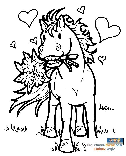 pferd003