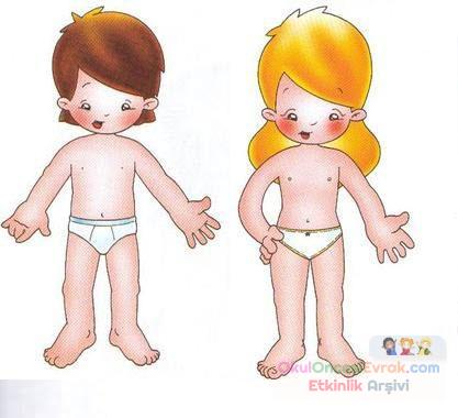 renkli iç organlar (3)