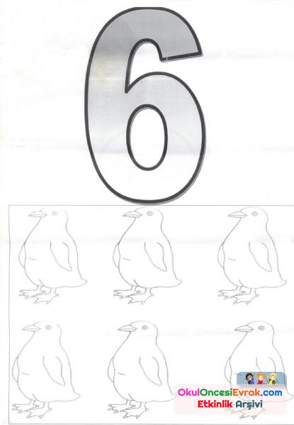 sayı kartı (5)