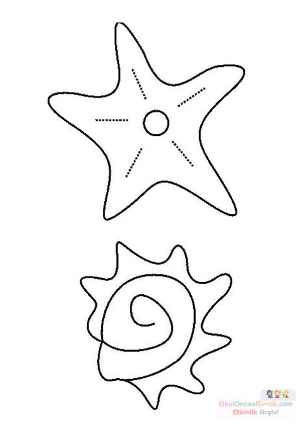 shell-and-starfish-source_282