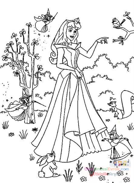Sindirella Boyama  (13)