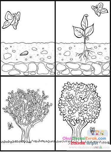 Sıralama Ve Oluşum  (4)