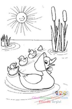sommer011