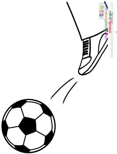 Spor Dalları  (11)