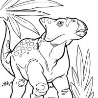 A-Genus-of-Ceratopsian-from-Late-Cretaceous-Period-in-Dinosaur-Coloring-Page-Kopyala