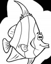 Balık Hayvanlar Deniz Canlıları Boyama (35)