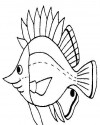 Balık Hayvanlar Deniz Canlıları Boyama (42)