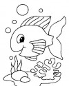 Balık Hayvanlar Deniz Canlıları Boyama (44)