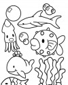 Balık Hayvanlar Deniz Canlıları Boyama (49)